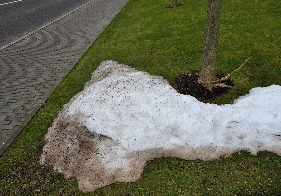 Preparing Your Lawn for Winter in Central Indiana