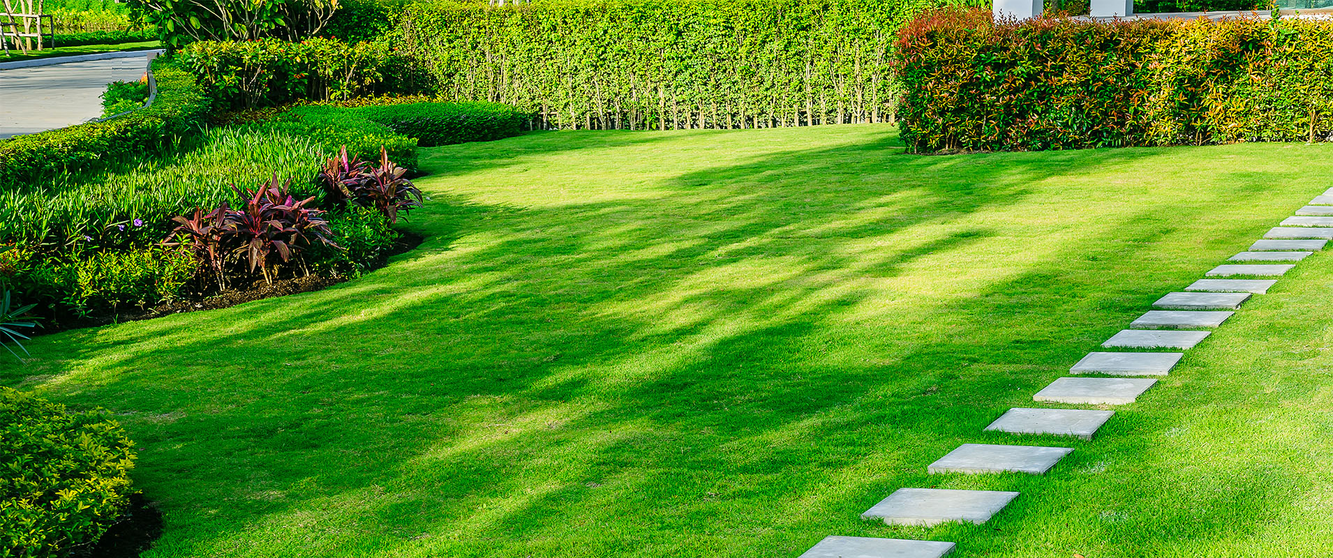 Why Fall is the Most Critical Time for Your Lawn’s Success Next Year