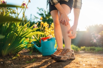 mosquito treatment for yard in Greenwood, IN