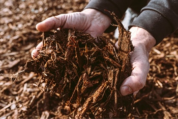 mulch installation services