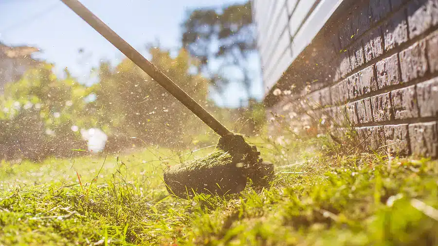 Prepping your Lawn for Spring after a Long Winter