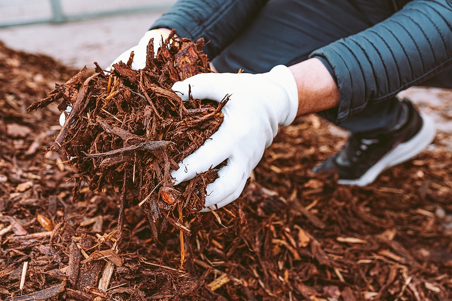 The Best Times to Lay Mulch