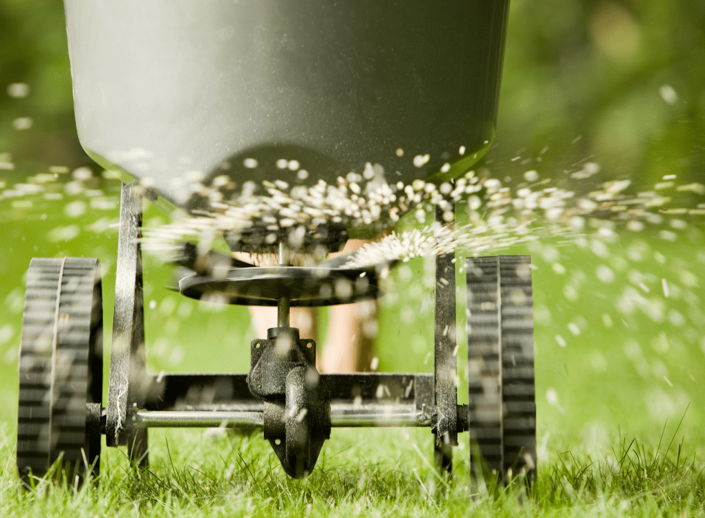 Lawn Treatments Near Me: Why Local Expertise Matters for a Beautiful Lawn