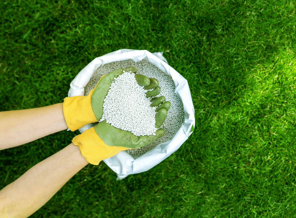 Why Lawn Fertilization Services in Greenwood Are Essential for a Healthy Lawn