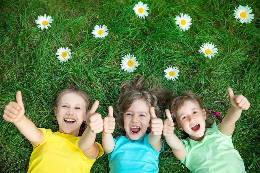 5-Star Fertilization Services in and Around Fishers, Carmel, and Noblesville