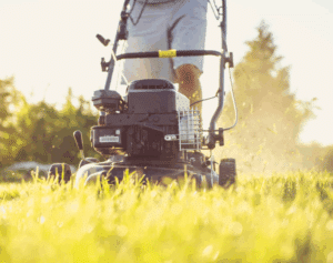 Overseeding Without Aeration