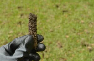 Lawn Aeration in Indiana – Blue Duck Lawn Care Fixing Compacted Soil