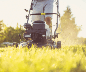 Seasonal Lawn Care Packages