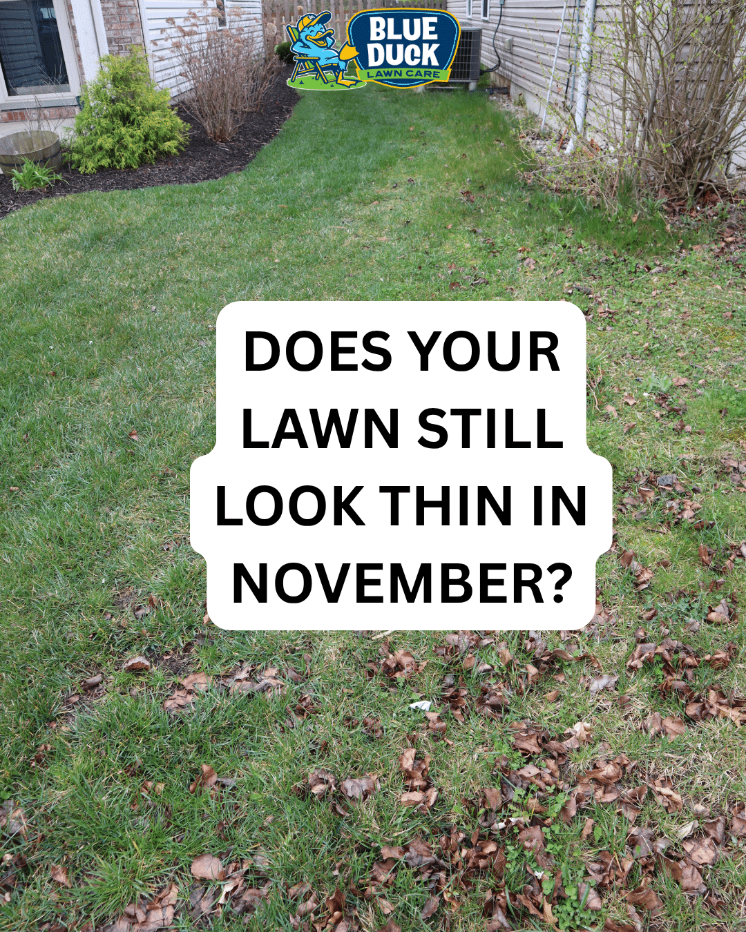 Fall Lawn Fertilization in Indiana: Why It Still Matters
