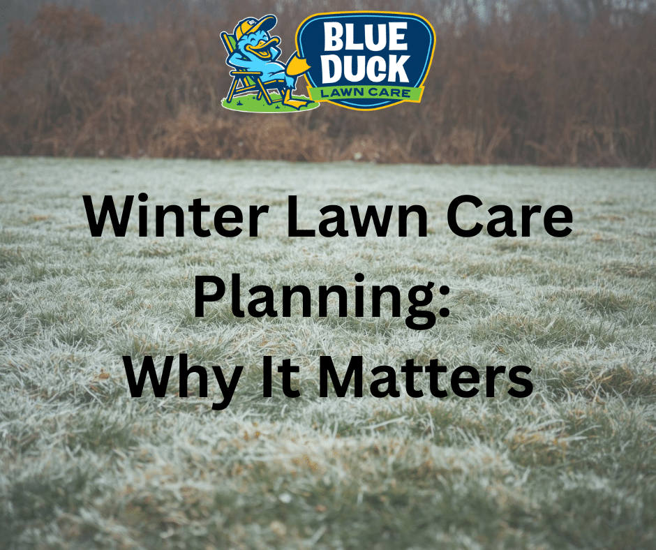 Winter Lawn Care Planning: Why It Matters