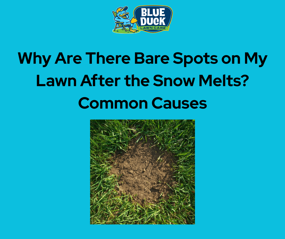 Bare Spots After Snow Melts: Why It Happens