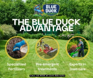 Blue Duck Winter Lawn Care Services in Indiana, USA