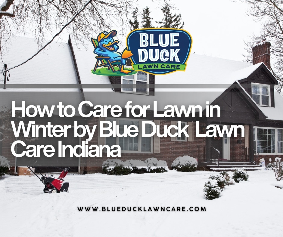 How to Care for Lawn in Winter by Blue Duck Lawn Care Indiana