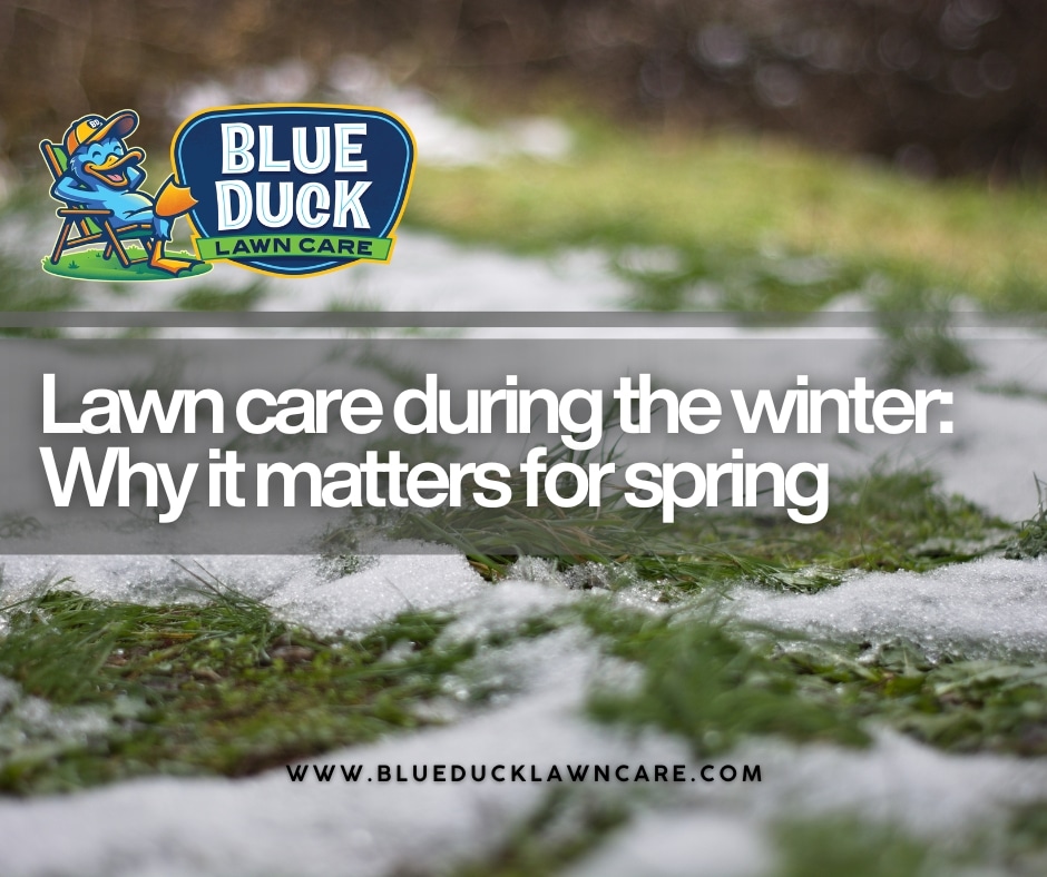 Lawn Care During the Winter: Why It Matters for Spring