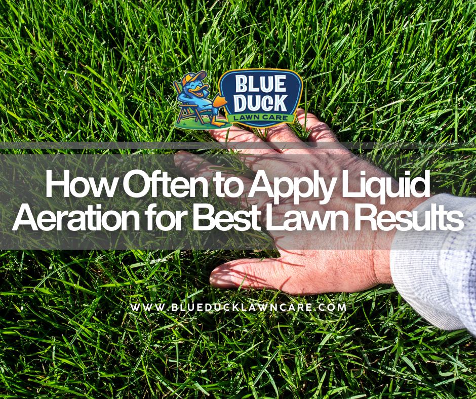 Blue Duck Lawn Care answers how often to apply liquid aeration to achieve best lawn results.
