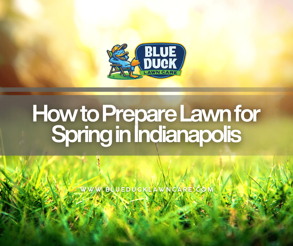 A lush, green Indianapolis lawn during spring maintained by Blue Duck Lawn Care.
