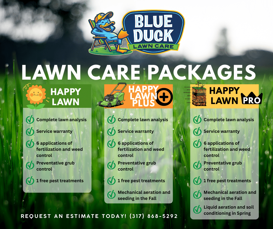 Professional lawn care package deals creating thick turf in Indianapolis by Blue Duck Lawn Care.