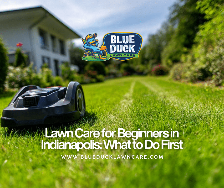 Lawn Care for Beginners in Indianapolis: What to Do First