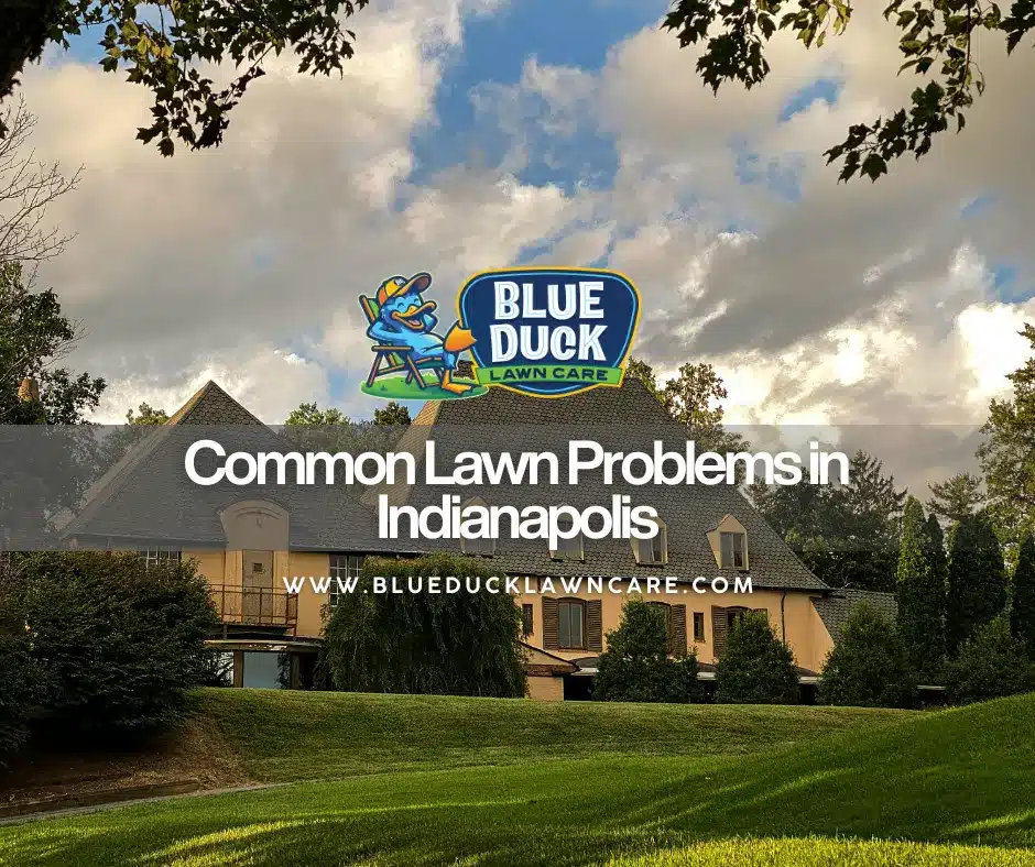 Beautiful Indianapolis home with lush, green lawn showing what overcoming common lawn problems in Indianapolis looks like with Blue Duck Lawn Care.