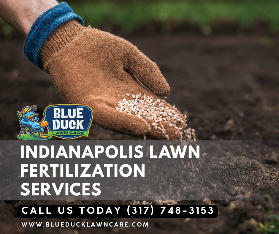 Blue Duck Lawn Care technician performing Indianapolis lawn fertilization services for a Carmel homeowner this spring.