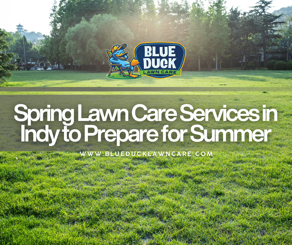 Beautiful lush lawn in Indianapolis showing the results of professional spring lawn care services from Blue Duck.
