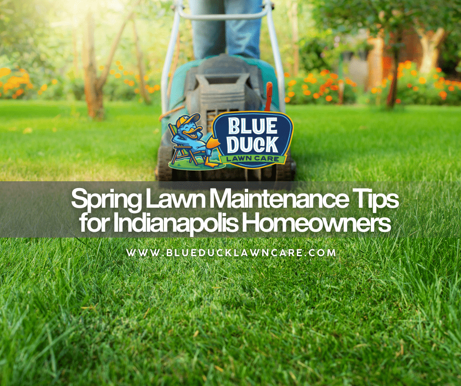 Lawn mower ready for season's first cut following spring lawn maintenance tips from Blue Duck Lawn Care for Indianapolis homeowners.
