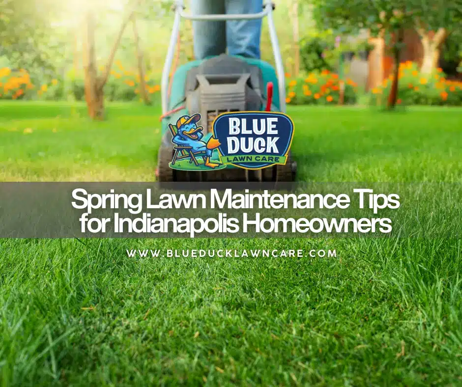 Spring Lawn Maintenance Tips for Indianapolis Homeowners