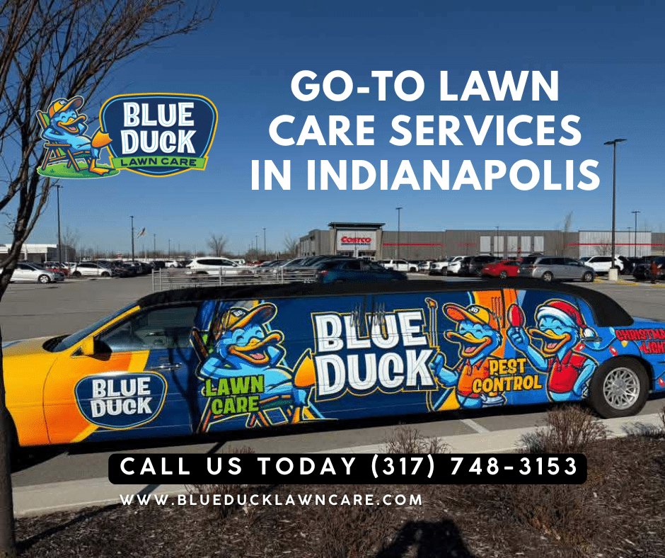 Blue Duck Limo proving that serious lawn care can still have serious style in Indianapolis.
