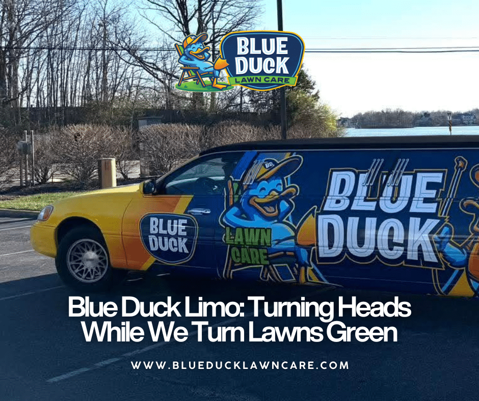 Blue Duck Limo bringing fun and personality to professional lawn care in Indianapolis.