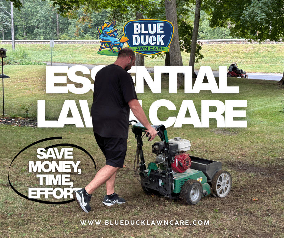 Essential Lawn Care That Saves You Time Money and Frustration
