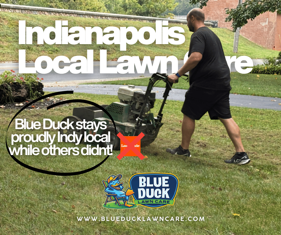 Indianapolis local lawn care in action as Blue Duck Lawn Care technician applies treatment on lawn. Blue Duck proudly stays Indianapolis local while others didn't.