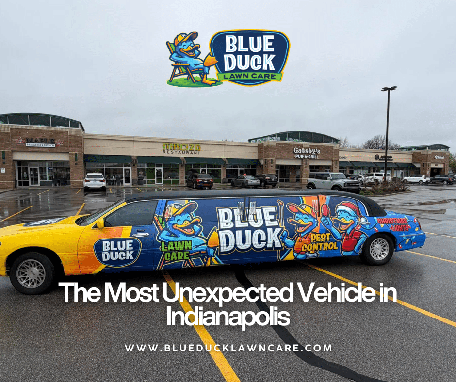 Lawn Care Limo: The Most Unexpected Vehicle in Indianapolis