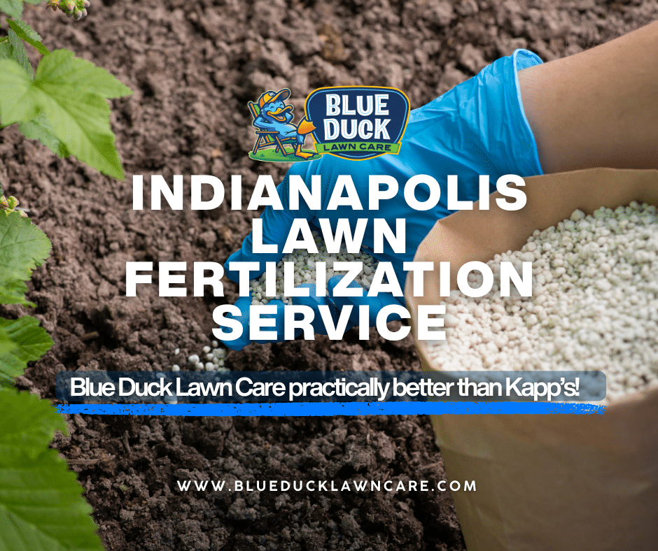 Blue Duck Lawn Care technician's hand applying fertilizer after soil testing as part of Indianapolis lawn fertilization service that saves money by analyzing first.