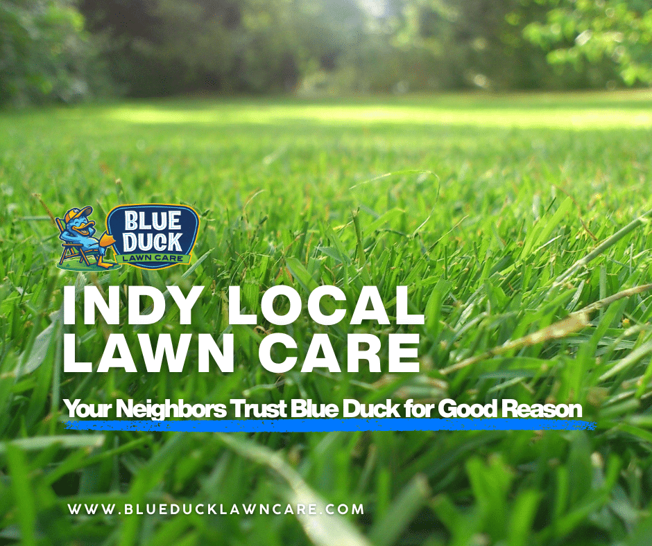 Beautiful Indianapolis lawn maintained by real Indy local lawn care company like Blue Duck Lawn Care.