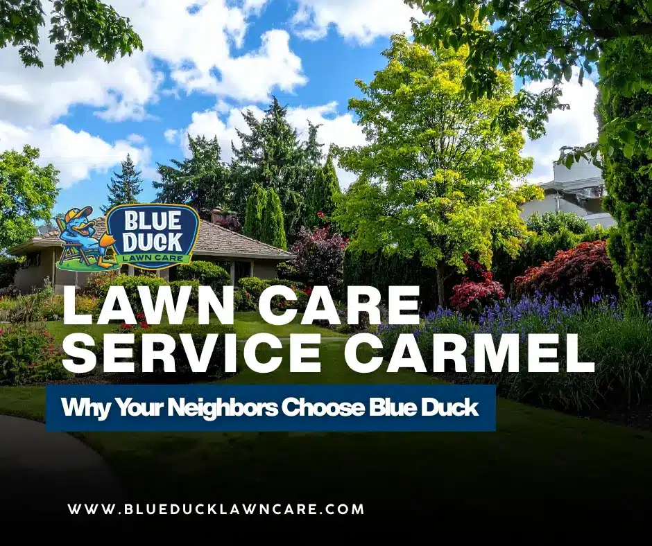 Lawn Care Service Carmel Homeowners Recommend