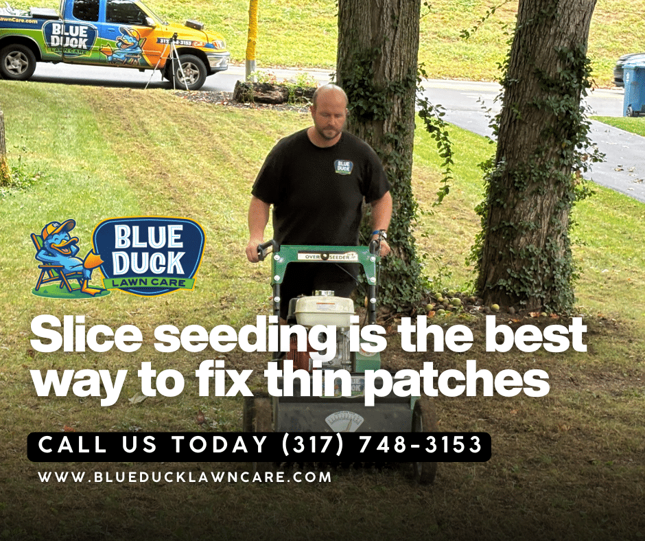 Lawn slice seeding being applied to heavy clay soil by Blue Duck Lawn Care technician in an Indiana residence as it is the best way to fix thin patches on lawns.