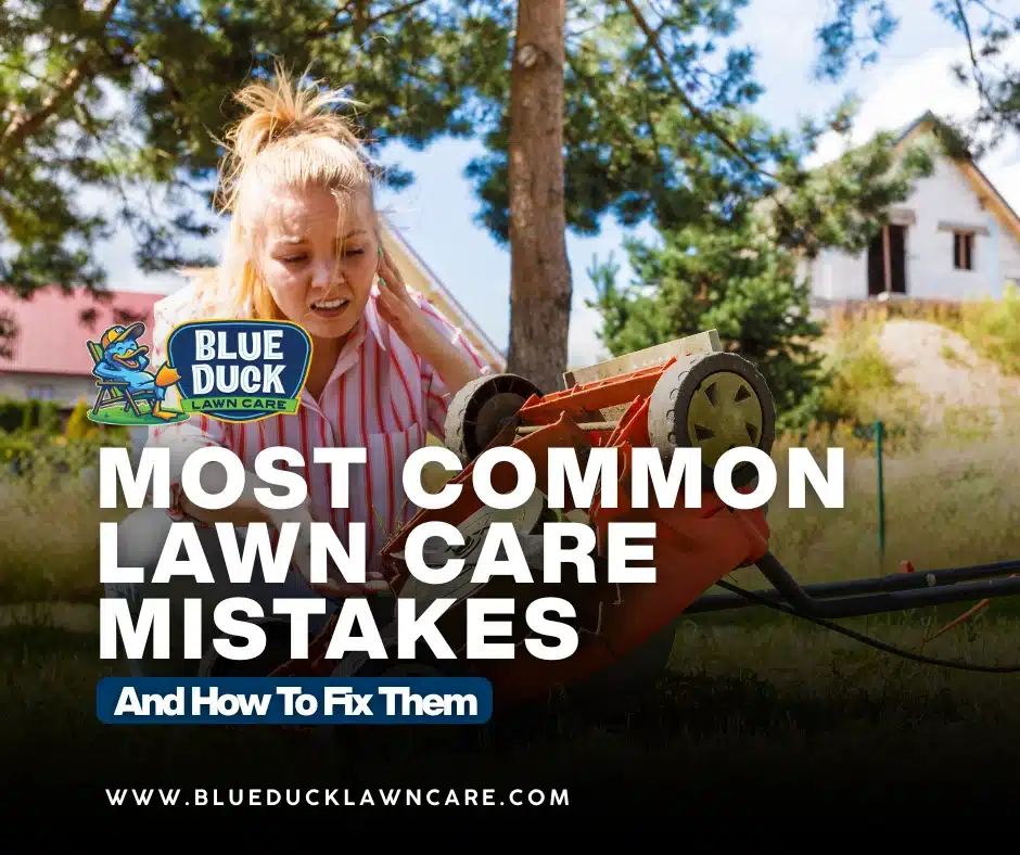 Most Common Lawn Care Mistakes And How To Fix Them