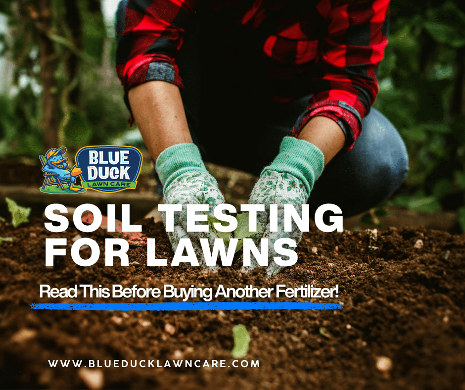 Soil Testing for Lawns: Read This Before Buying Another Fertilizer