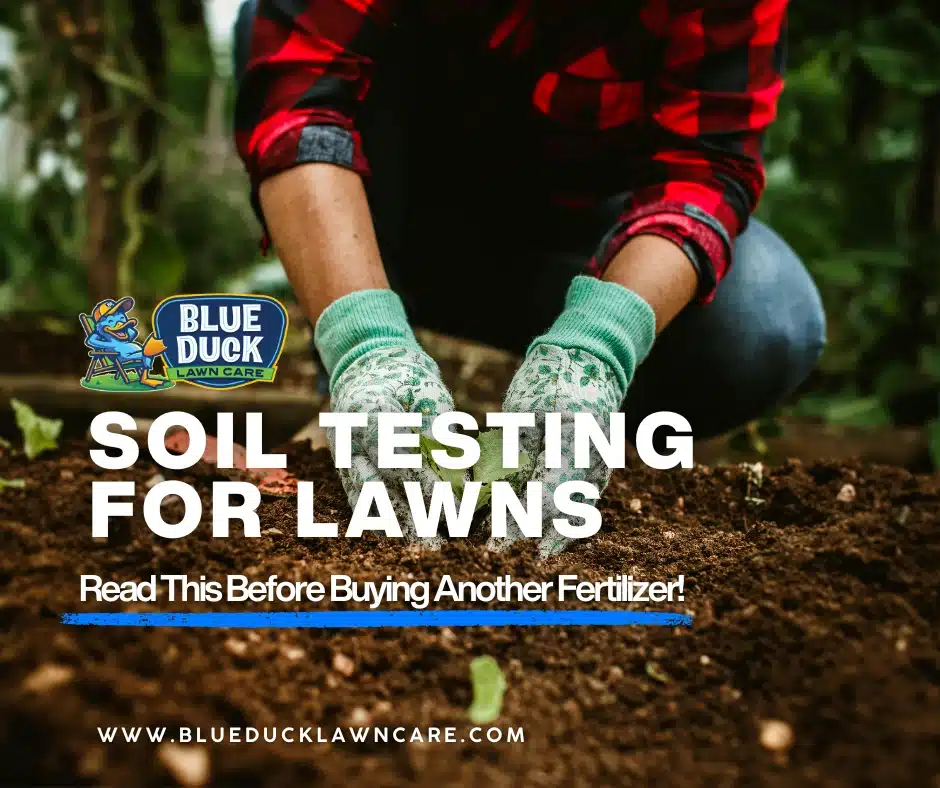 Soil Testing for Lawns: Read This Before Buying Another Fertilizer