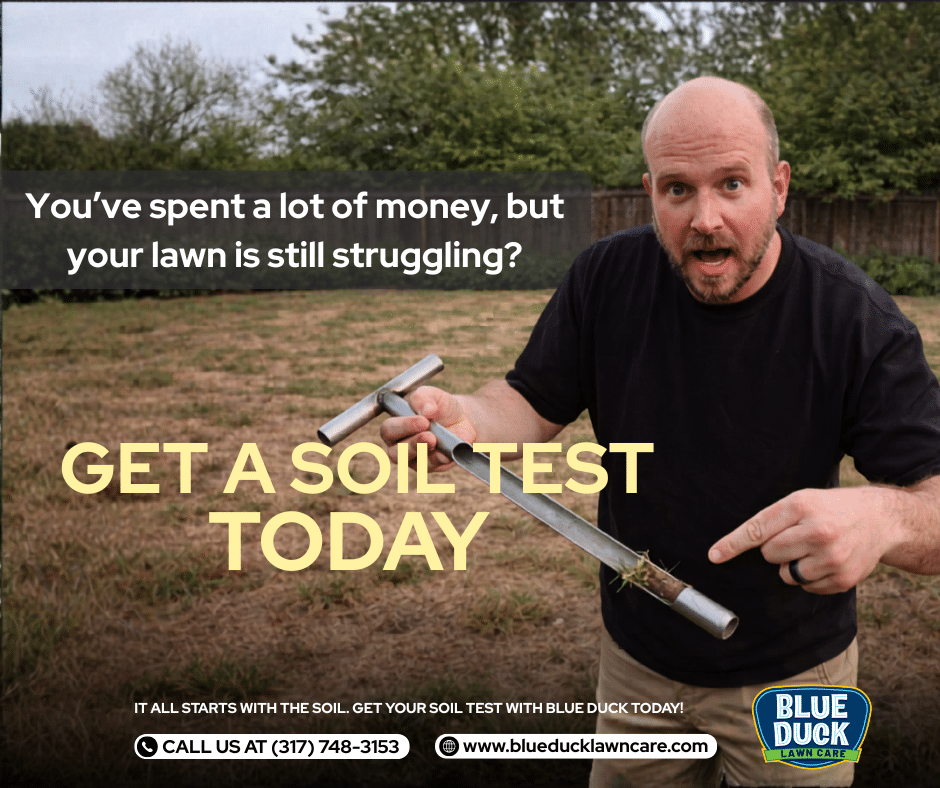 Indianapolis homeowner inspecting soil before buying fertilizer understanding that soil testing for lawns prevents wasted money.