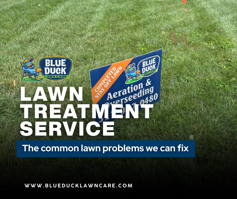 Blue Duck Lawn Care yard sign in Indianapolis lawn after lawn treatment service with aeration and slice seeding