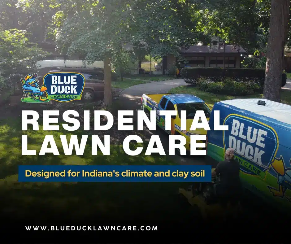 Blue Duck residential lawn care in action on an Indianapolis lawn with clay soil treatment.