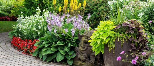 lawn fertilization services in Avon IN