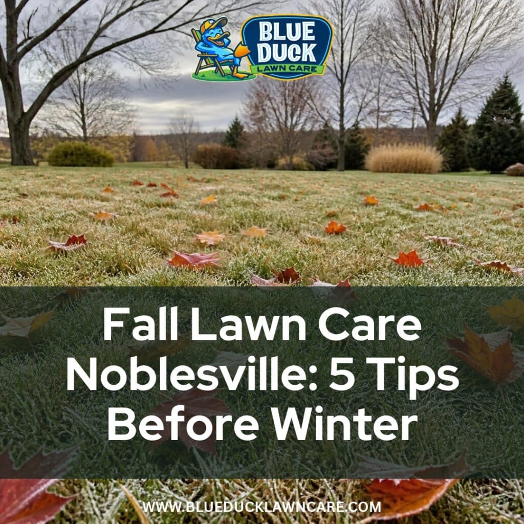 Fall lawn care Noblesville homeowners preparing their grass for winter with fertilization, mowing, leaf removal, and aeration before the first freeze.