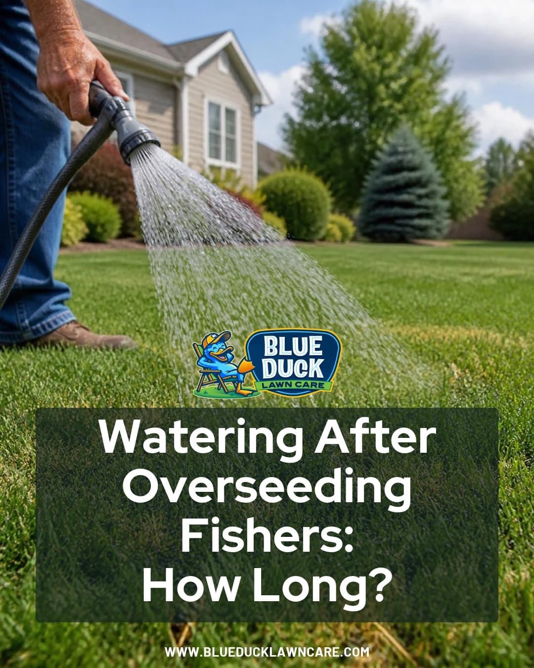 Watering After Overseeding Fishers: How Long?