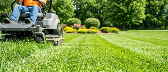 lawn aeration services in Avon IN